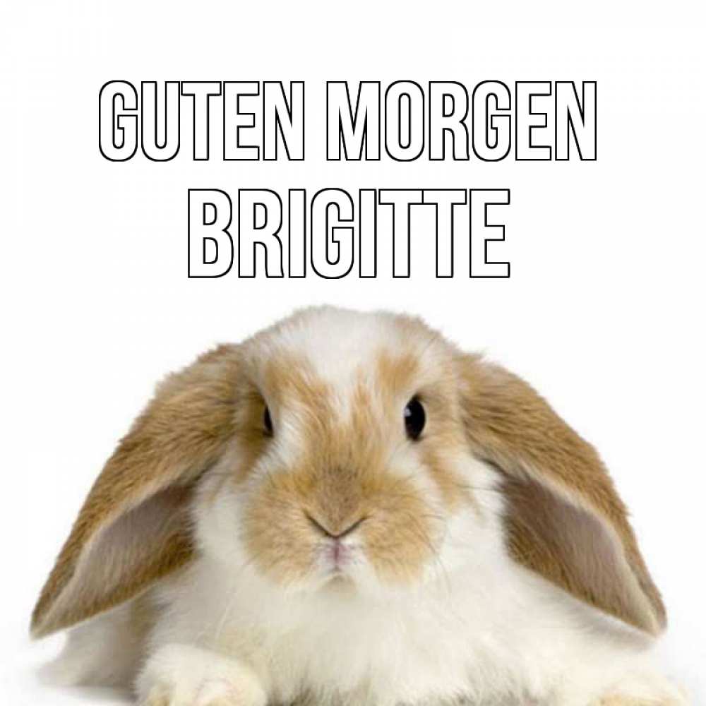 Открытка на каждый день с именем, Brigitte Guten Morgen прикольные открытки на каждый день Прикольная открытка с пожеланием онлайн скачать бесплатно 