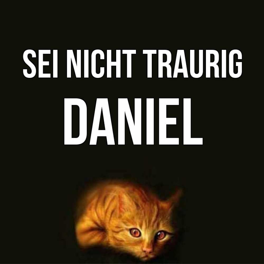 Открытка на каждый день с именем, Daniel Sei nicht traurig лежащий кот в темноте Прикольная открытка с пожеланием онлайн скачать бесплатно 