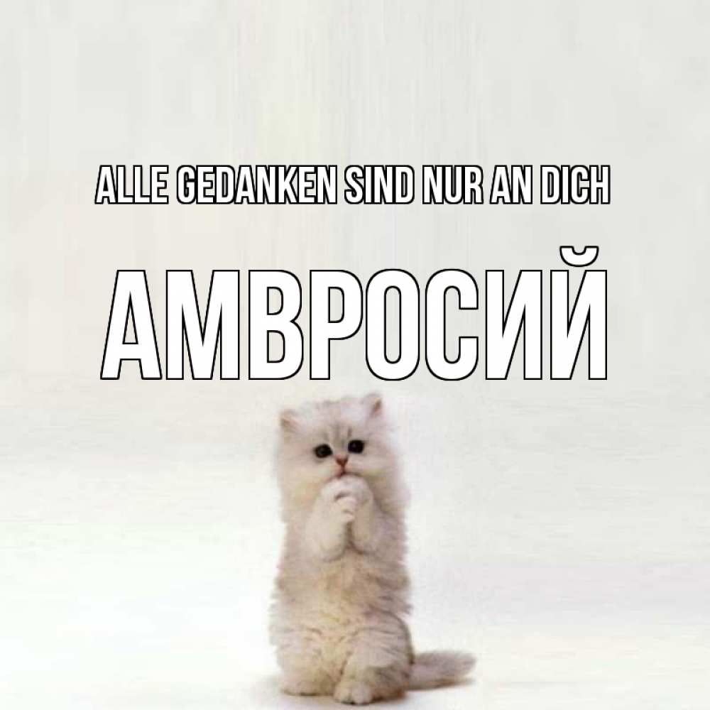 Открытка на каждый день с именем, Амвросий Alle Gedanken sind nur an dich кот стоит на задних лапах Прикольная открытка с пожеланием онлайн скачать бесплатно 
