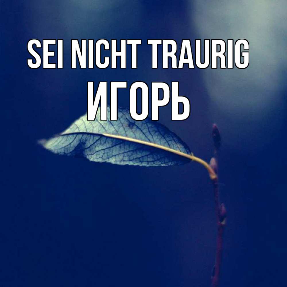 Открытка на каждый день с именем, Игорь Sei nicht traurig растение Прикольная открытка с пожеланием онлайн скачать бесплатно 
