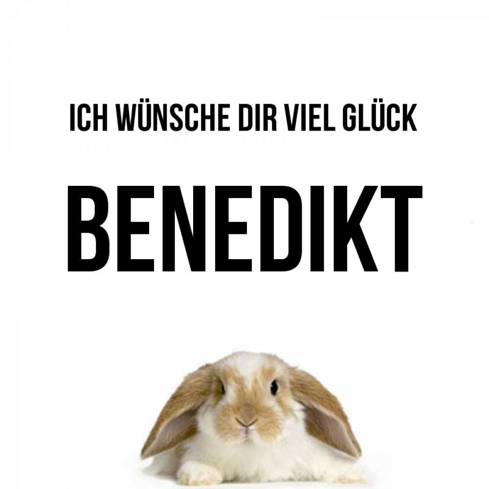 Открытка на каждый день с именем, Benedikt Ich wünsche dir viel Glück открытки с произвольным текстом который можно вставить в открытку и создать ее самостоятельно бесплатно онлайн Прикольная открытка с пожеланием онлайн скачать бесплатно 