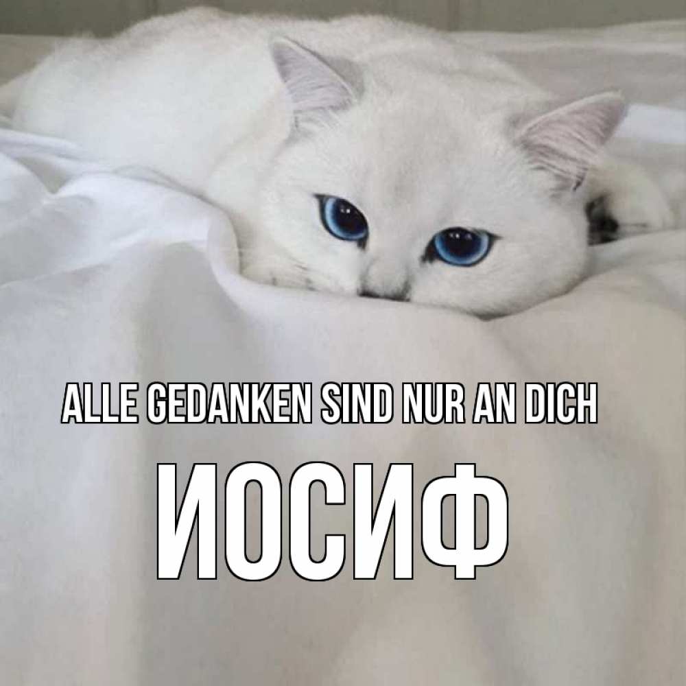 Открытка на каждый день с именем, Иосиф Alle Gedanken sind nur an dich я очень по тебе скучаю и тоскую Прикольная открытка с пожеланием онлайн скачать бесплатно 