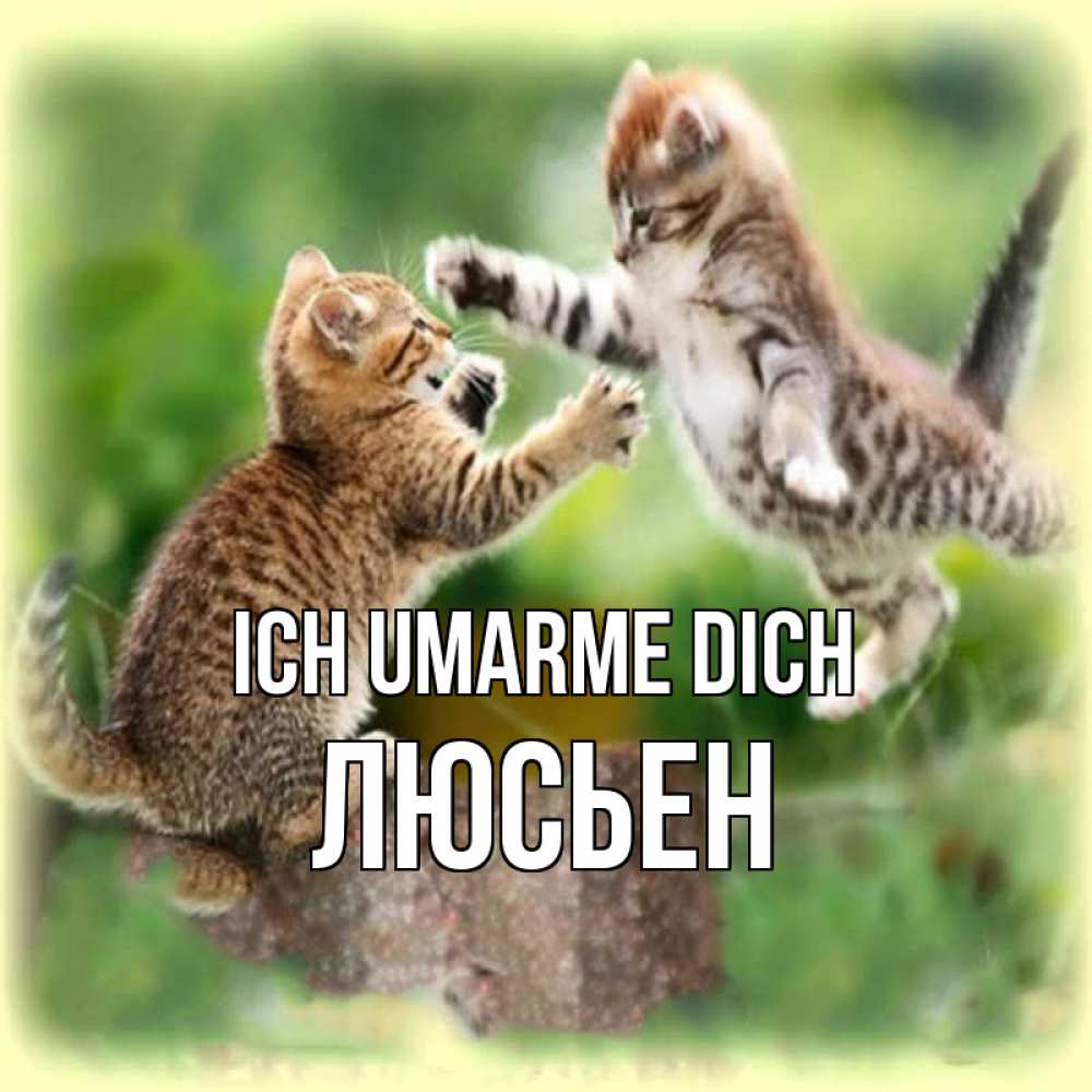 Открытка на каждый день с именем, Люсьен Ich umarme dich игры котят Прикольная открытка с пожеланием онлайн скачать бесплатно 