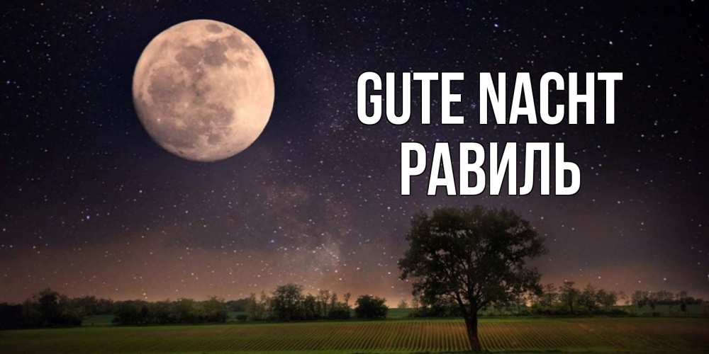 Открытка на каждый день с именем, Равиль Gute Nacht ночные открытки с луной Прикольная открытка с пожеланием онлайн скачать бесплатно 