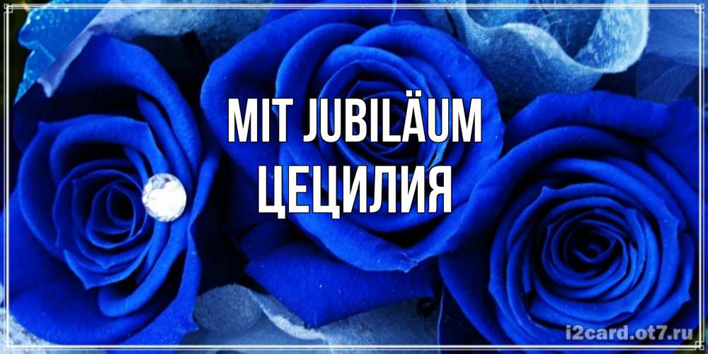 Открытка на каждый день с именем, Цецилия Mit Jubiläum синие розы в росе Прикольная открытка с пожеланием онлайн скачать бесплатно 