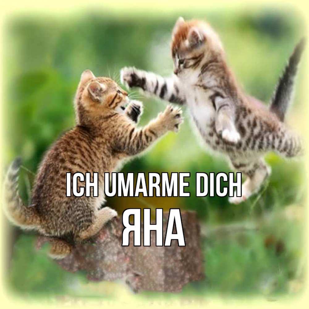 Открытка на каждый день с именем, Яна Ich umarme dich игры котят Прикольная открытка с пожеланием онлайн скачать бесплатно 