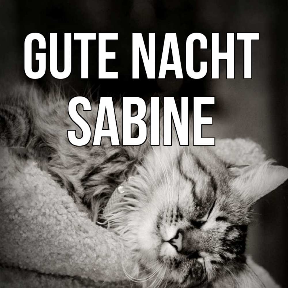 Открытка на каждый день с именем, Sabine Gute Nacht котярик пушистый Прикольная открытка с пожеланием онлайн скачать бесплатно 