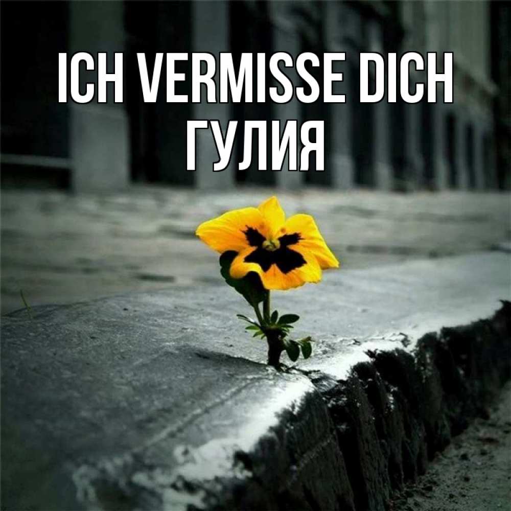 Открытка на каждый день с именем, Гулия Ich vermisse dich надеюсь будет лучше Прикольная открытка с пожеланием онлайн скачать бесплатно 