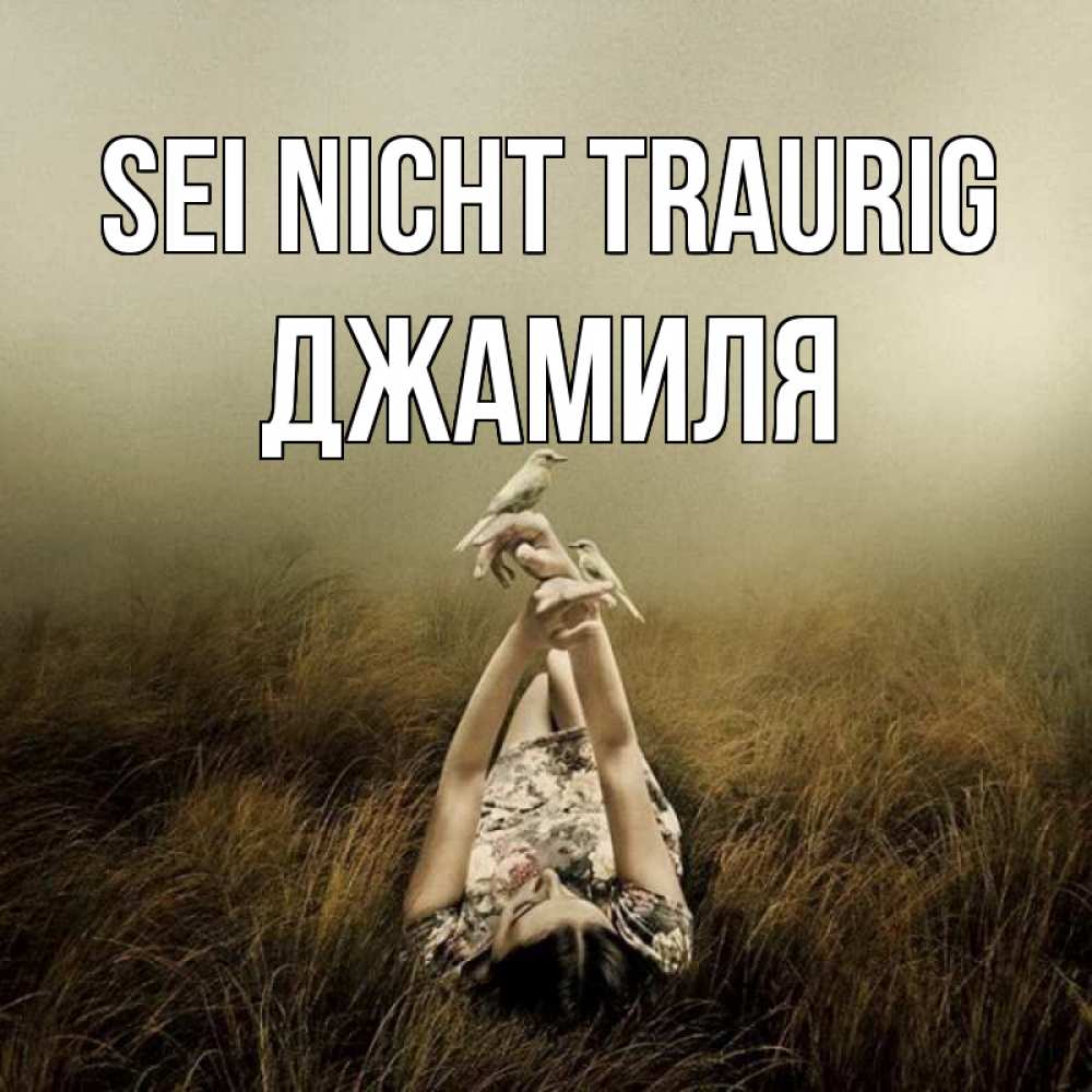 Открытка на каждый день с именем, Джамиля Sei nicht traurig поле и туман Прикольная открытка с пожеланием онлайн скачать бесплатно 