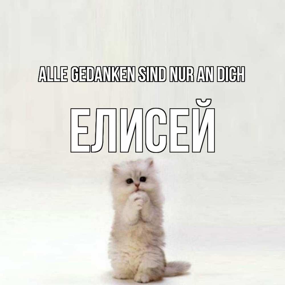 Открытка на каждый день с именем, Елисей Alle Gedanken sind nur an dich кот стоит на задних лапах Прикольная открытка с пожеланием онлайн скачать бесплатно 