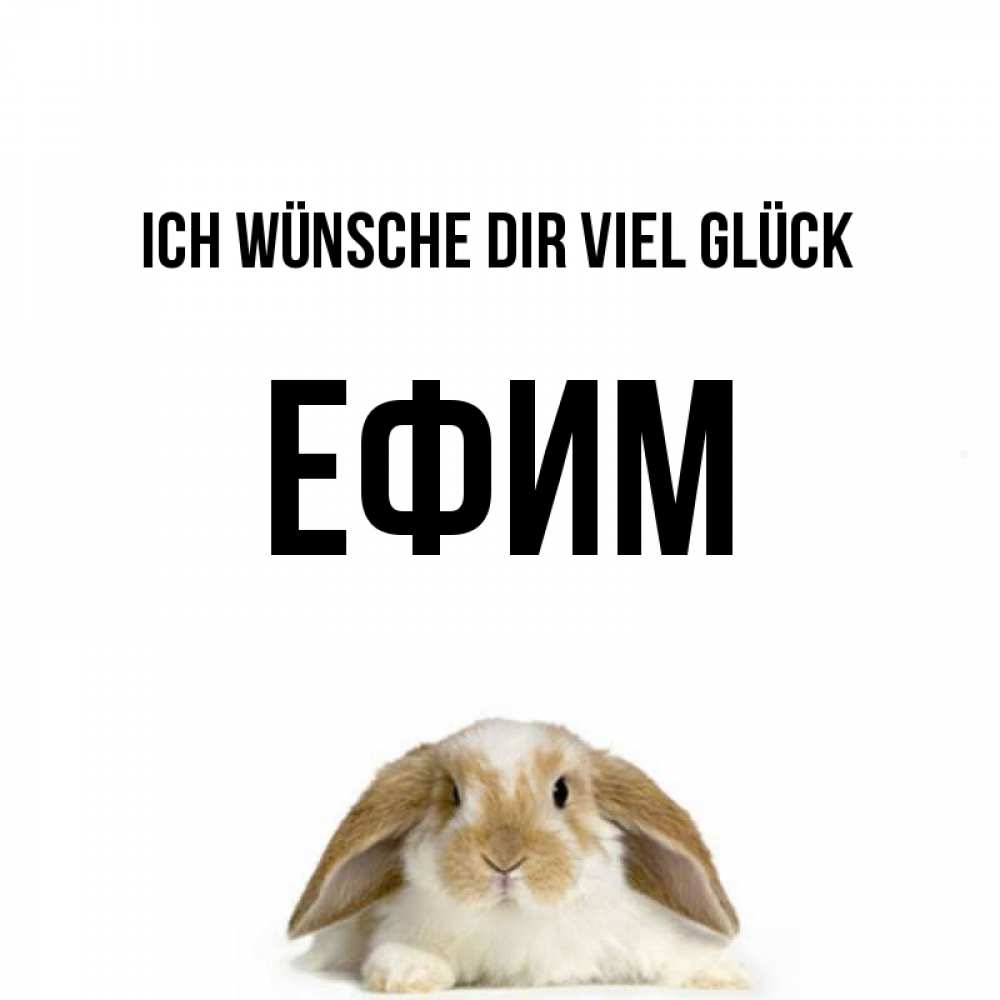 Открытка на каждый день с именем, Ефим Ich wünsche dir viel Glück открытки с произвольным текстом который можно вставить в открытку и создать ее самостоятельно бесплатно онлайн Прикольная открытка с пожеланием онлайн скачать бесплатно 