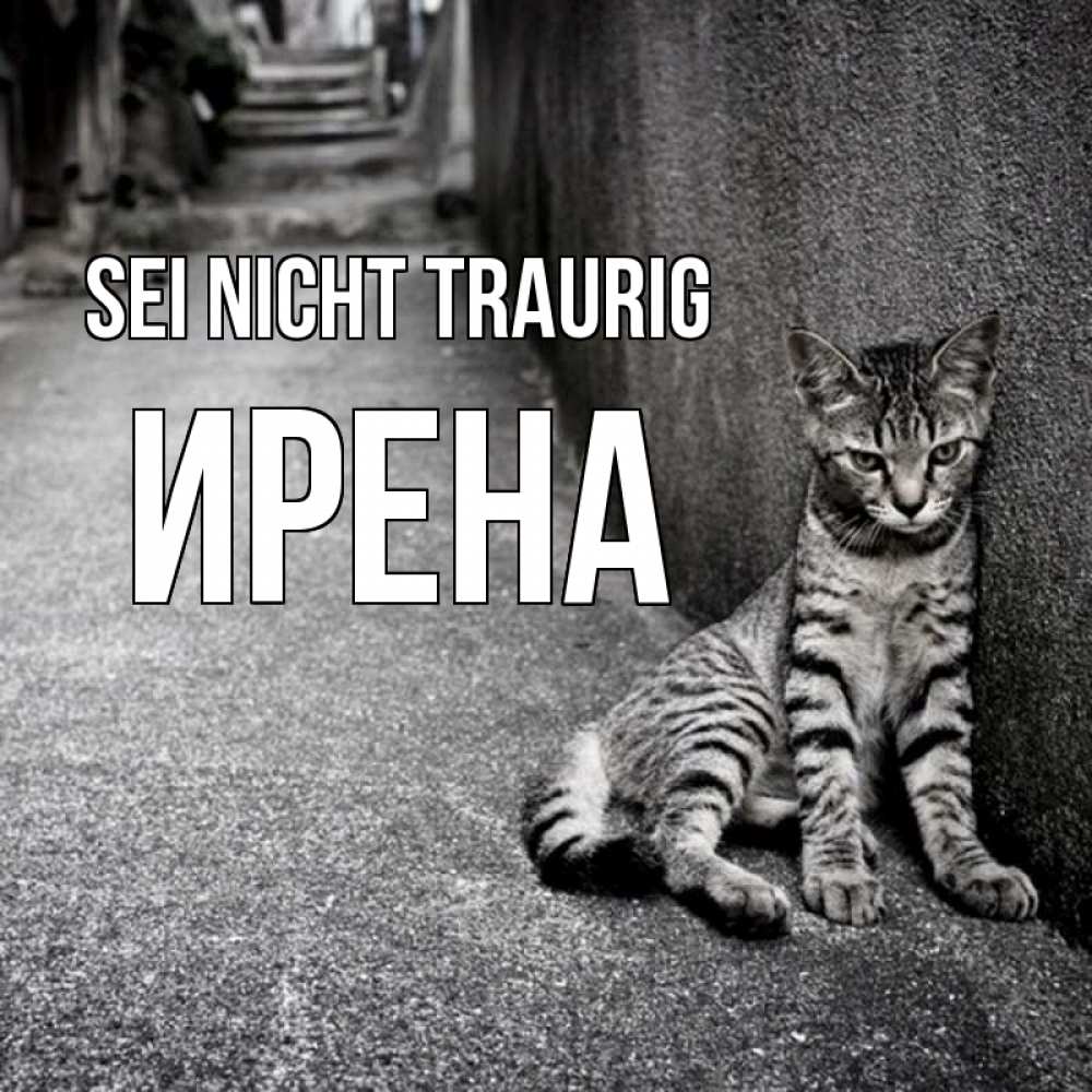 Открытка на каждый день с именем, Ирена Sei nicht traurig скучающий котик Прикольная открытка с пожеланием онлайн скачать бесплатно 