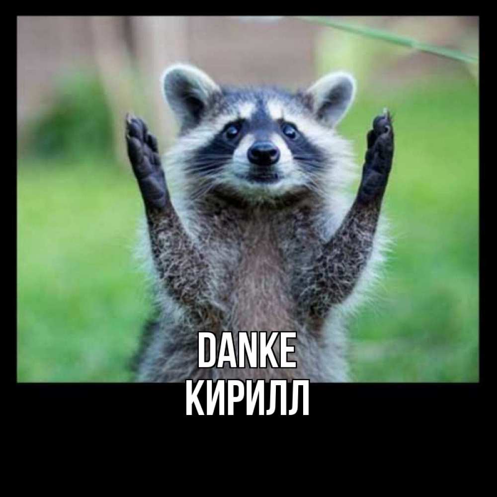 Открытка на каждый день с именем, Кирилл Danke милые животные Прикольная открытка с пожеланием онлайн скачать бесплатно 