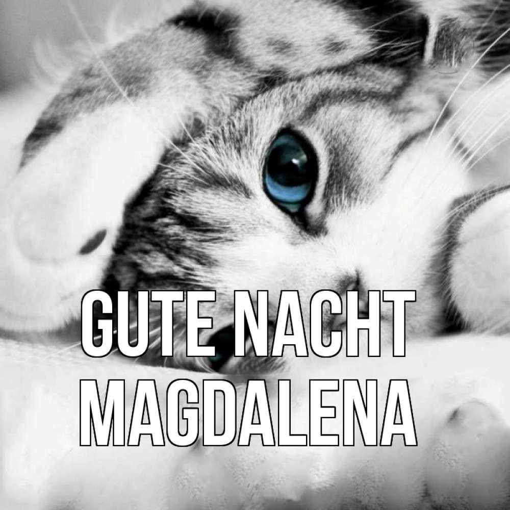 Открытка на каждый день с именем, Magdalena Gute Nacht кот устал Прикольная открытка с пожеланием онлайн скачать бесплатно 