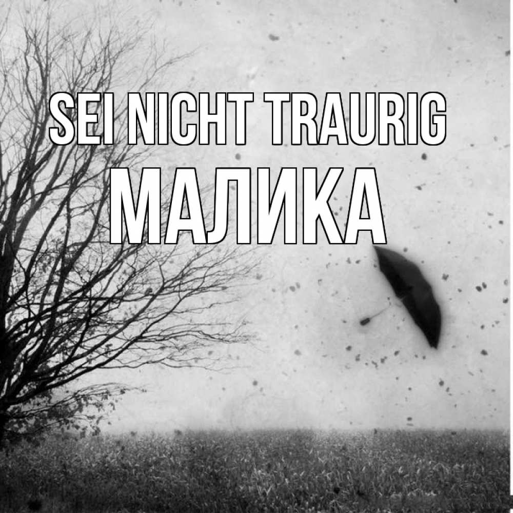 Открытка на каждый день с именем, Малика Sei nicht traurig летящий зонтик Прикольная открытка с пожеланием онлайн скачать бесплатно 