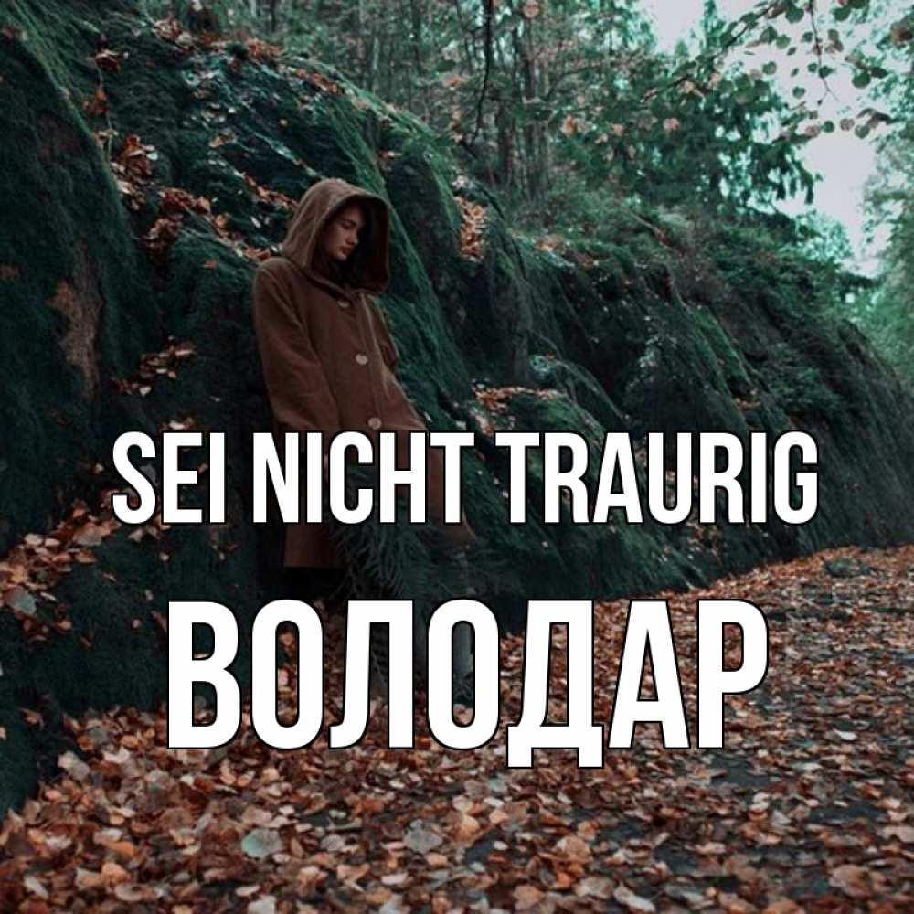 Открытка на каждый день с именем, Володар Sei nicht traurig осенний лес Прикольная открытка с пожеланием онлайн скачать бесплатно 