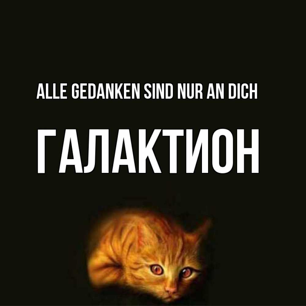 Открытка на каждый день с именем, Галактион Alle Gedanken sind nur an dich рыжий Прикольная открытка с пожеланием онлайн скачать бесплатно 