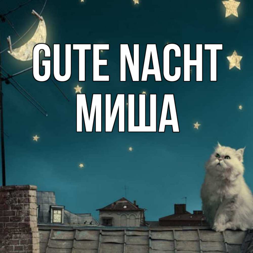 Открытка на каждый день с именем, Миша Gute Nacht белый кот сидит на крыше Прикольная открытка с пожеланием онлайн скачать бесплатно 