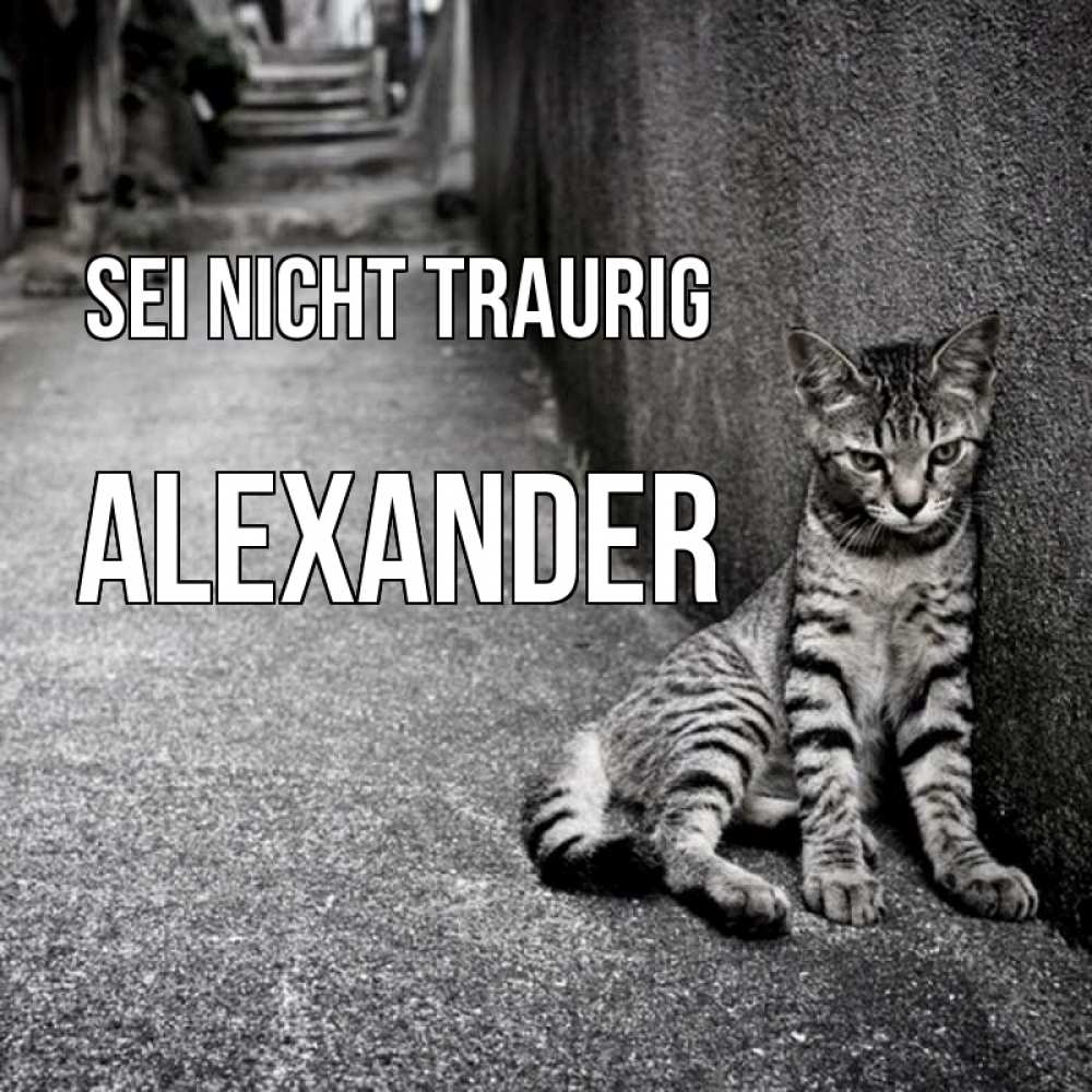 Открытка на каждый день с именем, Alexander Sei nicht traurig скучающий котик Прикольная открытка с пожеланием онлайн скачать бесплатно 