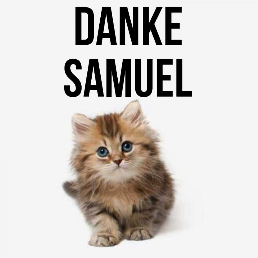 Открытка на каждый день с именем, Samuel Danke пушистый котик Прикольная открытка с пожеланием онлайн скачать бесплатно 