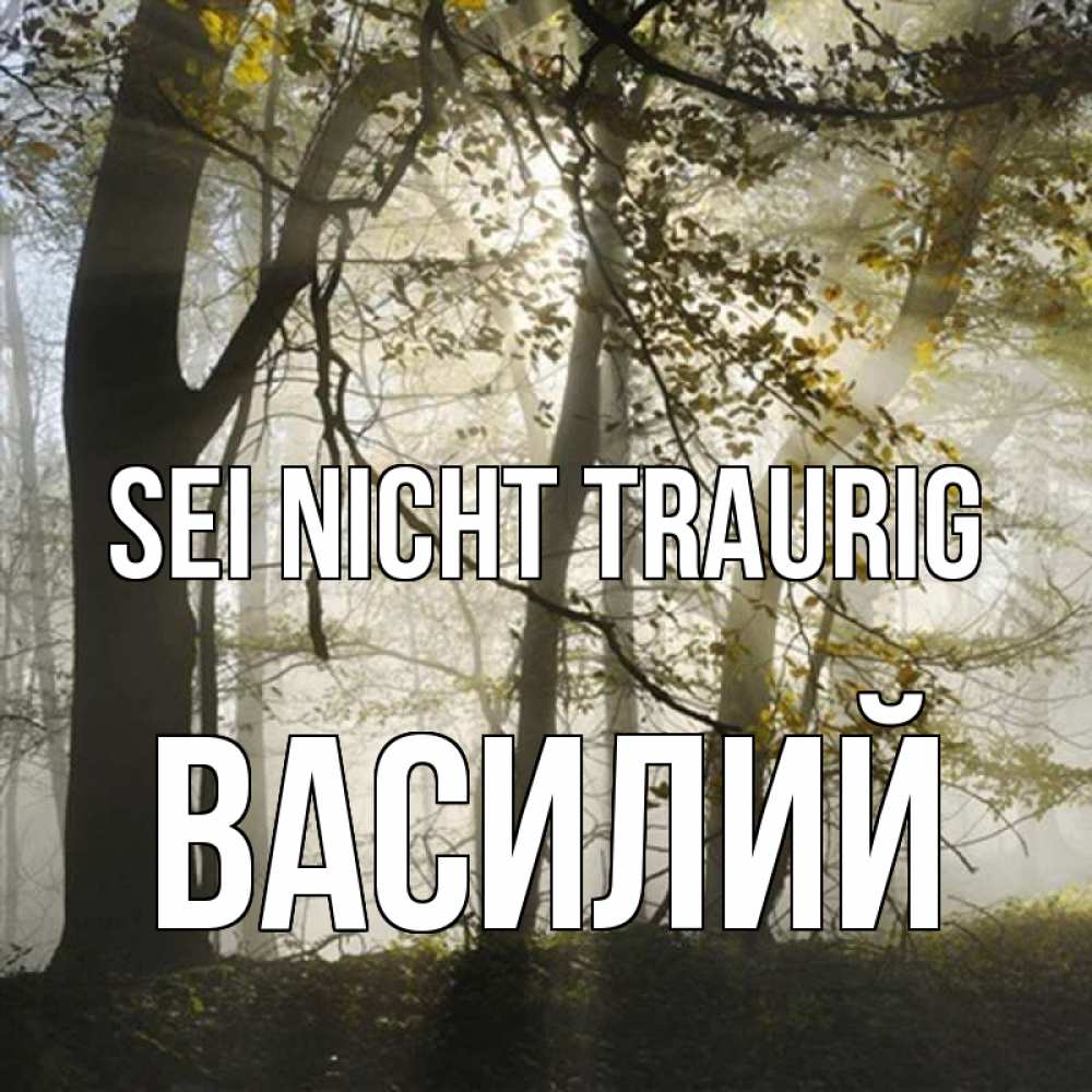 Открытка на каждый день с именем, Василий Sei nicht traurig лес и свет Прикольная открытка с пожеланием онлайн скачать бесплатно 