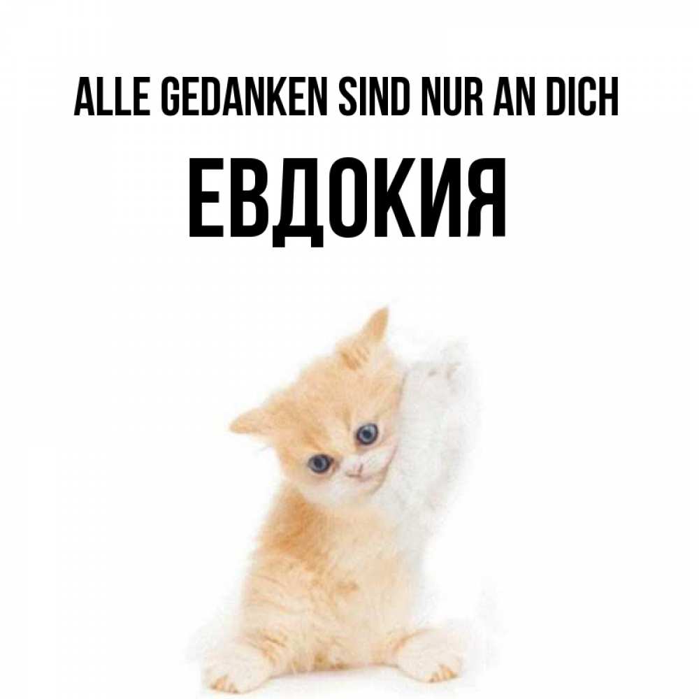 Открытка на каждый день с именем, Евдокия Alle Gedanken sind nur an dich зверушки и милота Прикольная открытка с пожеланием онлайн скачать бесплатно 