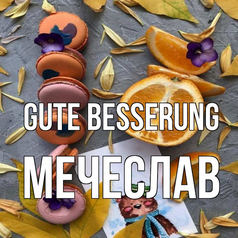 Открытка на каждый день с именем, Мечеслав Gute Besserung не болейте Прикольная открытка с пожеланием онлайн скачать бесплатно 