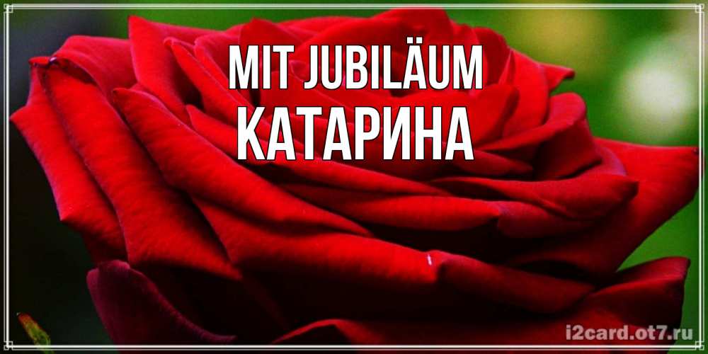 Открытка на каждый день с именем, Катарина Mit Jubiläum розочка очень красивая Прикольная открытка с пожеланием онлайн скачать бесплатно 