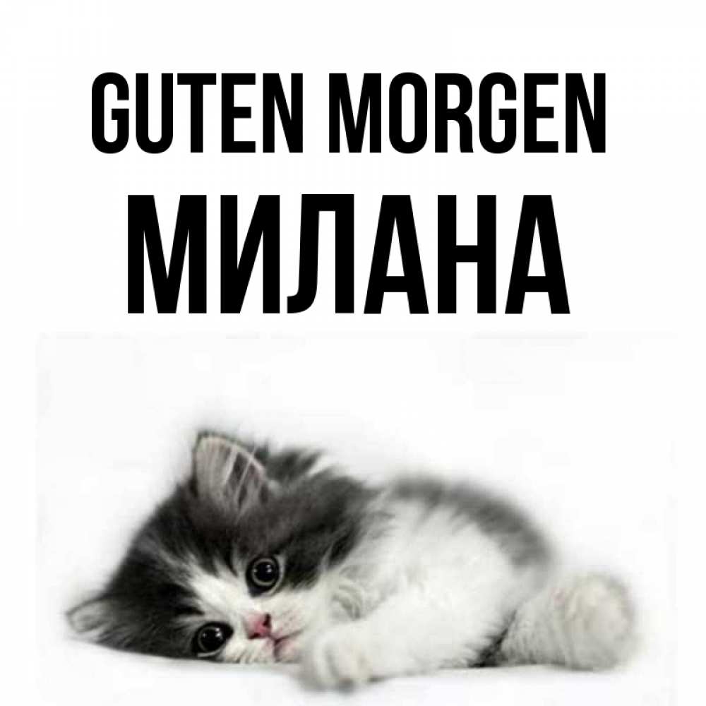 Открытка на каждый день с именем, Милана Guten Morgen кот лапки Прикольная открытка с пожеланием онлайн скачать бесплатно 