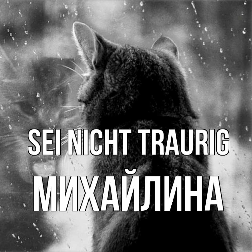 Открытка на каждый день с именем, Михайлина Sei nicht traurig отражение кота 1 Прикольная открытка с пожеланием онлайн скачать бесплатно 