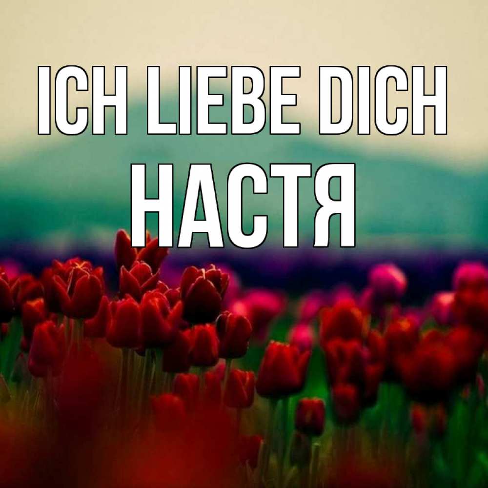 Открытка на каждый день с именем, Настя Ich liebe dich тюльпаны 4 Прикольная открытка с пожеланием онлайн скачать бесплатно 