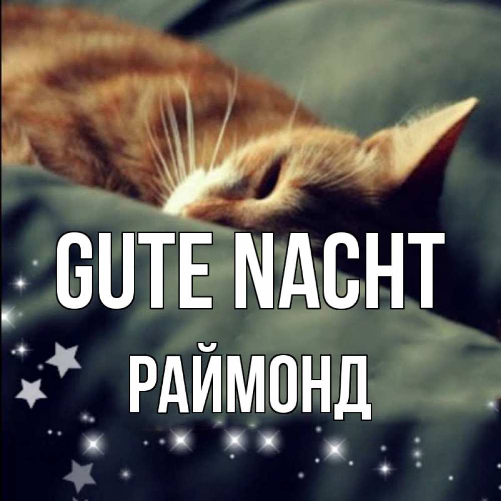Открытка на каждый день с именем, Раймонд Gute Nacht кроватка Прикольная открытка с пожеланием онлайн скачать бесплатно 