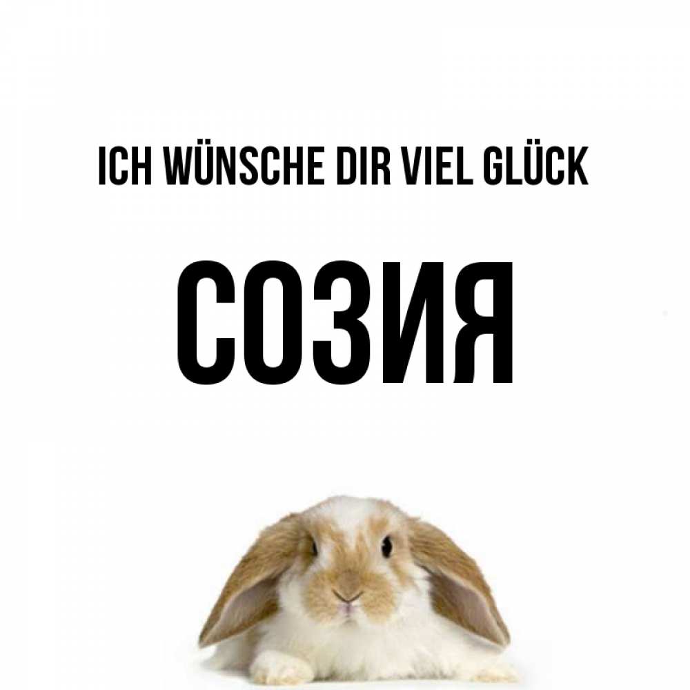 Открытка на каждый день с именем, Созия Ich wünsche dir viel Glück открытки с произвольным текстом который можно вставить в открытку и создать ее самостоятельно бесплатно онлайн Прикольная открытка с пожеланием онлайн скачать бесплатно 