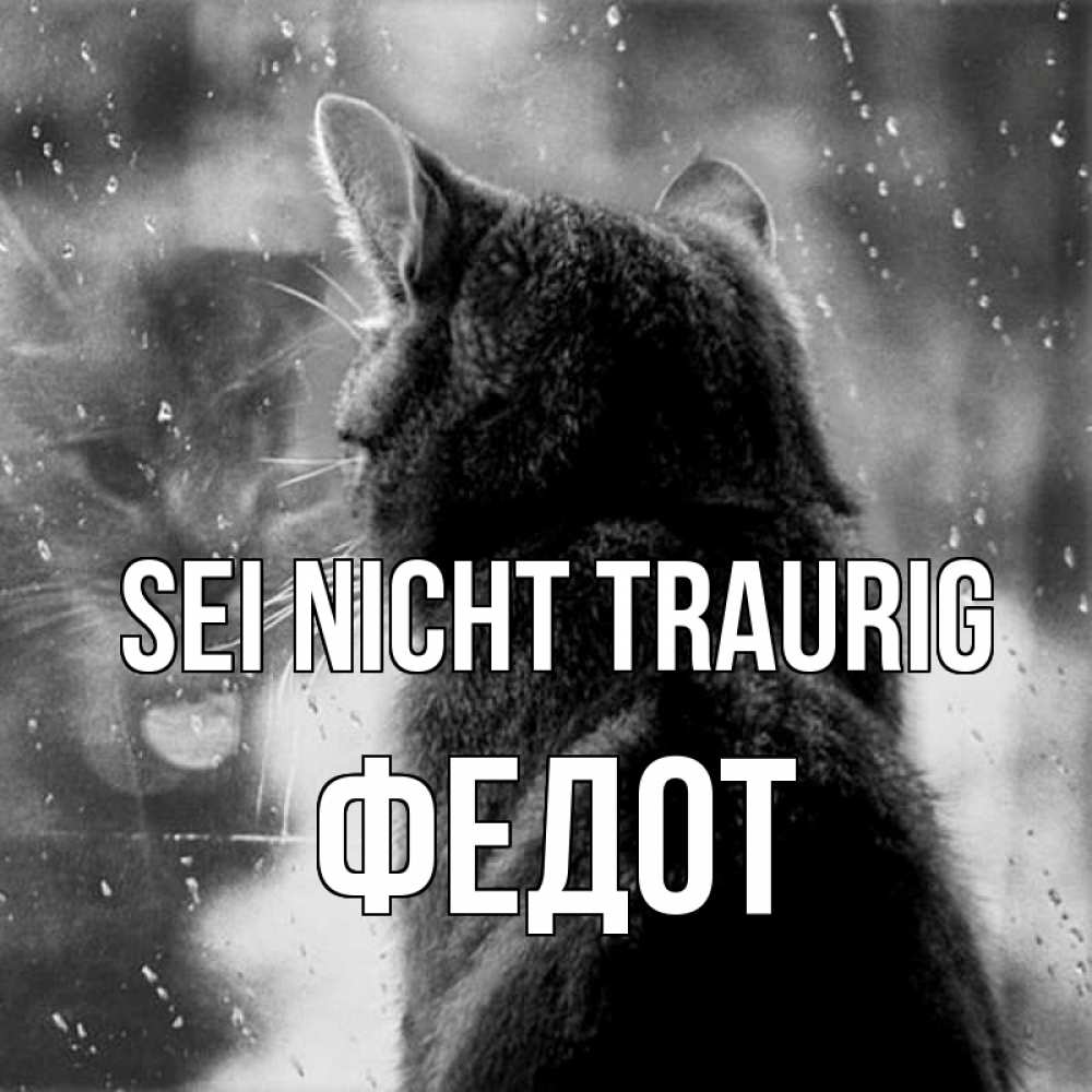 Открытка на каждый день с именем, Федот Sei nicht traurig отражение кота 1 Прикольная открытка с пожеланием онлайн скачать бесплатно 