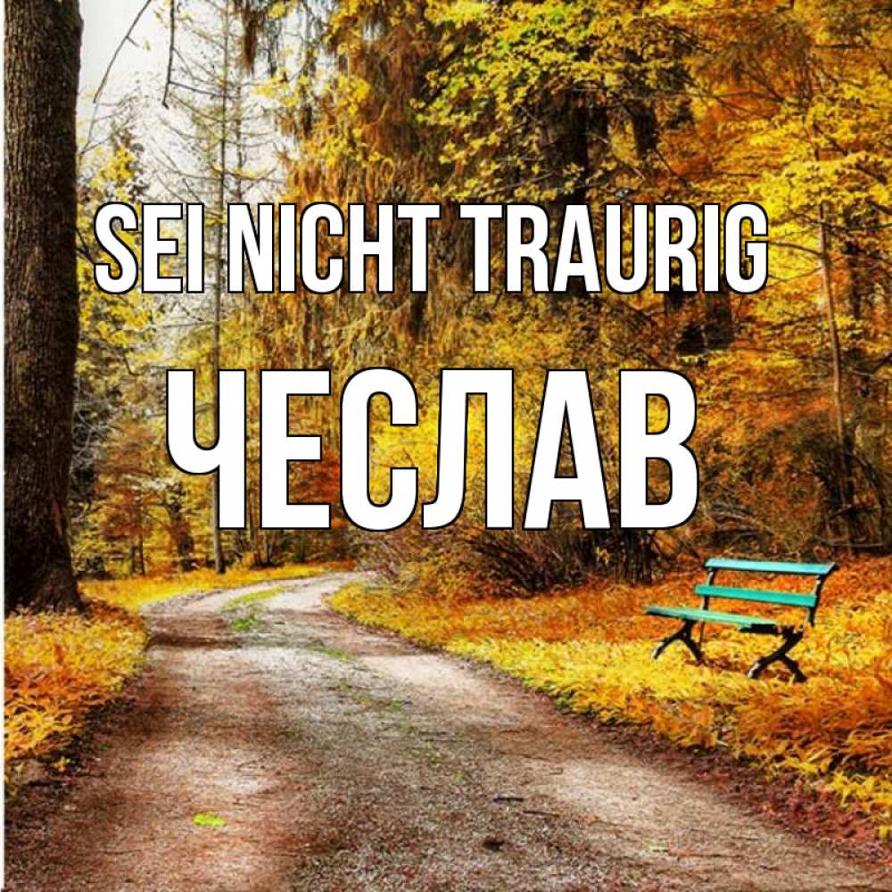 Открытка на каждый день с именем, Чеслав Sei nicht traurig зеленая лавочка Прикольная открытка с пожеланием онлайн скачать бесплатно 