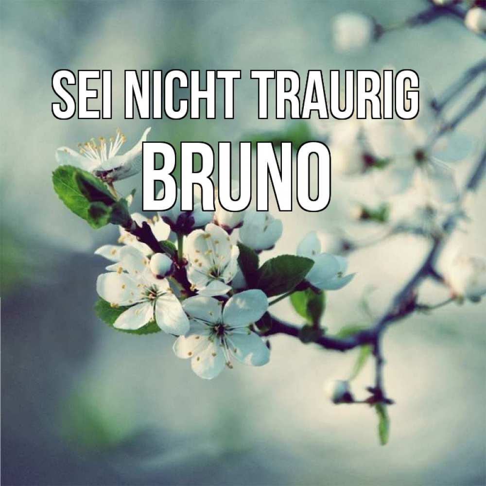Открытка на каждый день с именем, Bruno Sei nicht traurig яблоня в цвету 1 Прикольная открытка с пожеланием онлайн скачать бесплатно 