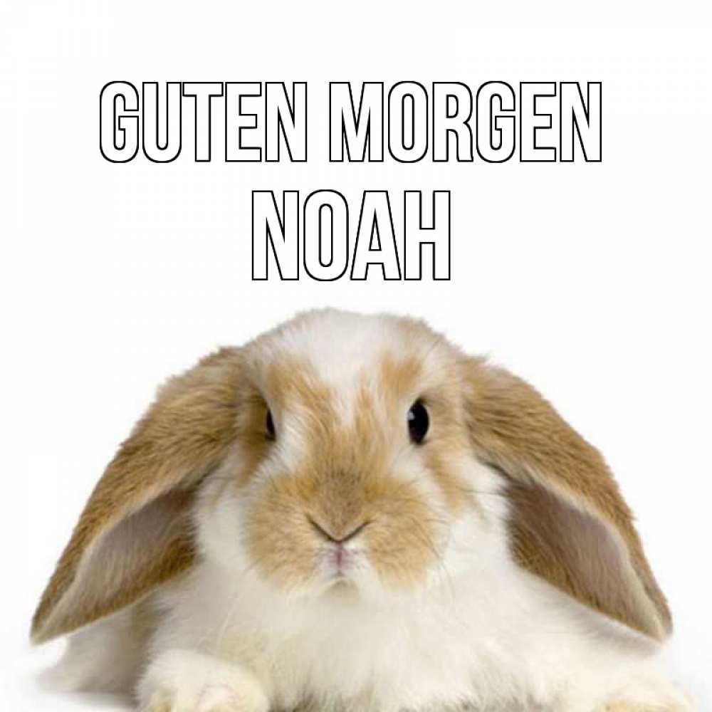 Открытка на каждый день с именем, Noah Guten Morgen прикольные открытки на каждый день Прикольная открытка с пожеланием онлайн скачать бесплатно 
