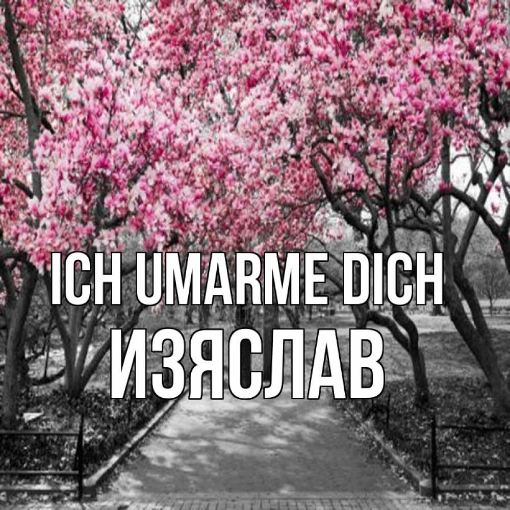 Открытка на каждый день с именем, Изяслав Ich umarme dich обработанное фото Прикольная открытка с пожеланием онлайн скачать бесплатно 