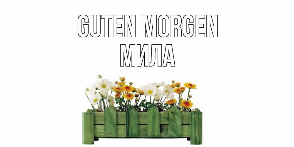 Открытка на каждый день с именем, Мила Guten Morgen цветы Прикольная открытка с пожеланием онлайн скачать бесплатно 