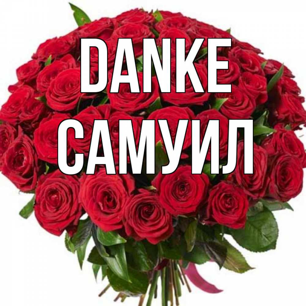 Открытка на каждый день с именем, Самуил Danke букет красных роз Прикольная открытка с пожеланием онлайн скачать бесплатно 