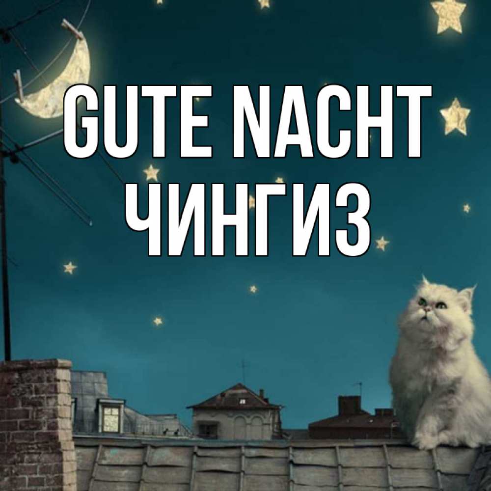 Открытка на каждый день с именем, Чингиз Gute Nacht белый кот сидит на крыше Прикольная открытка с пожеланием онлайн скачать бесплатно 