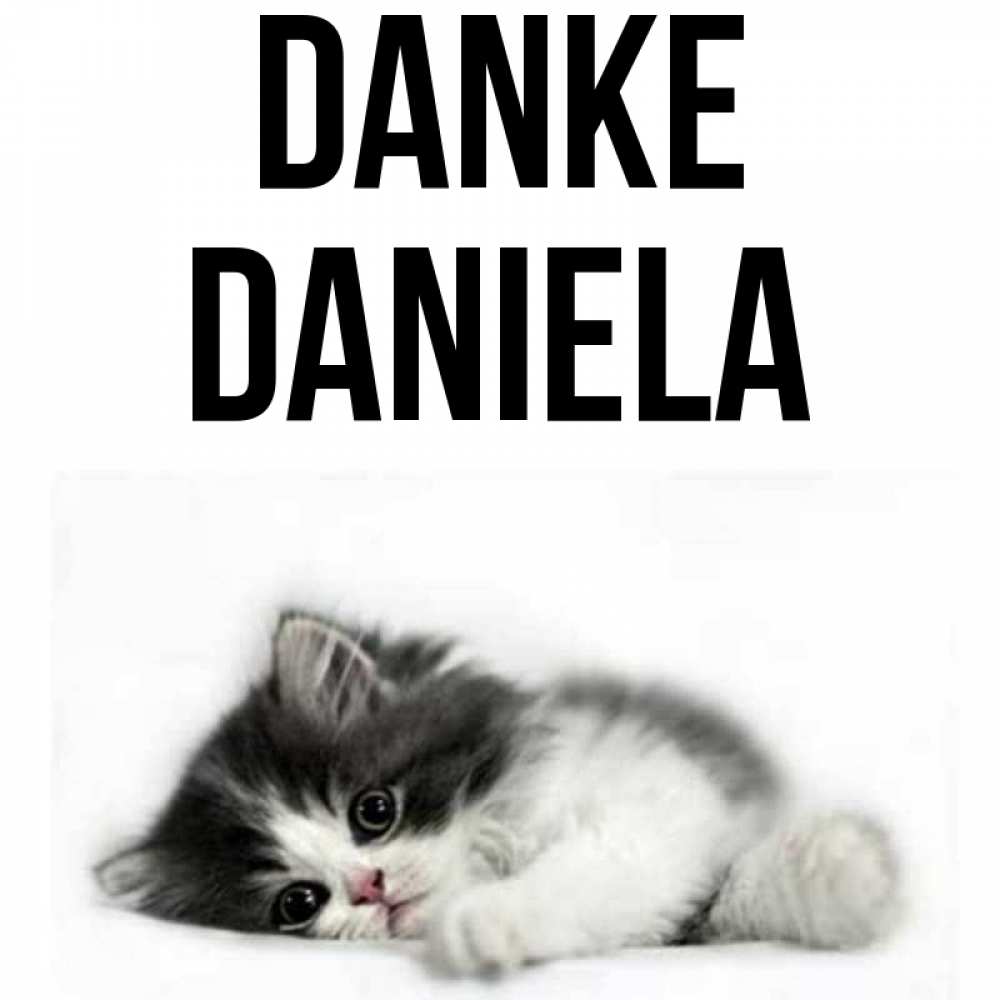 Открытка на каждый день с именем, Daniela Danke черный и белый кот Прикольная открытка с пожеланием онлайн скачать бесплатно 