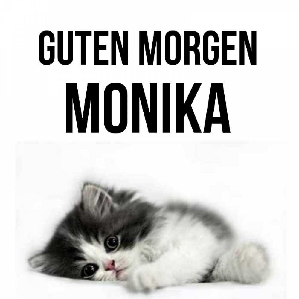 Открытка на каждый день с именем, Monika Guten Morgen кот лапки Прикольная открытка с пожеланием онлайн скачать бесплатно 