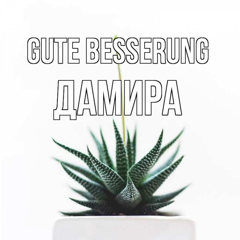 Открытка на каждый день с именем, Дамира Gute Besserung короче это непонятная колючка Прикольная открытка с пожеланием онлайн скачать бесплатно 