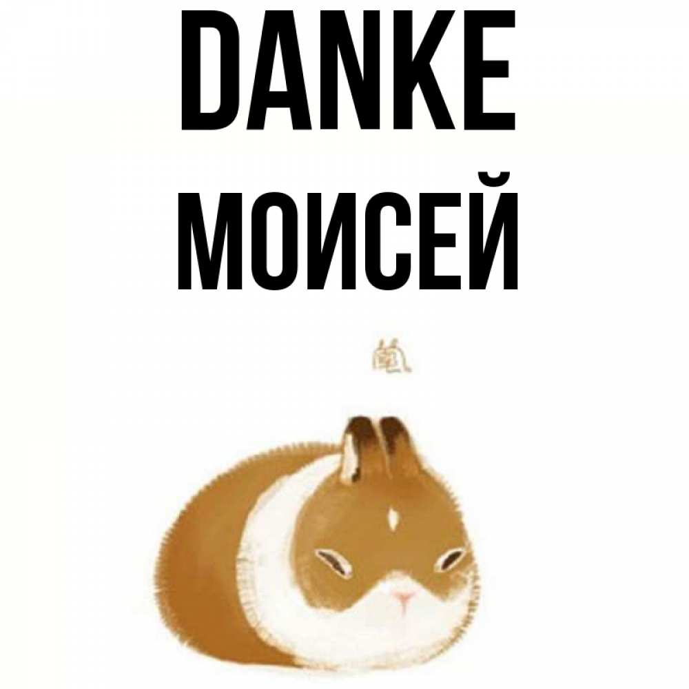 Открытка на каждый день с именем, Моисей Danke коричнево белый домашний питомец Прикольная открытка с пожеланием онлайн скачать бесплатно 