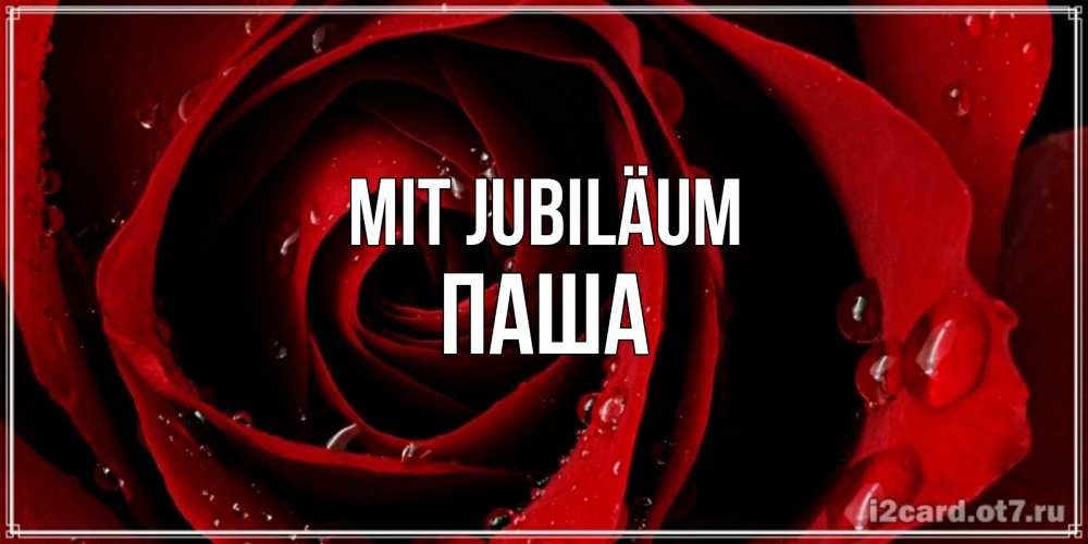 Открытка на каждый день с именем, Паша Mit Jubiläum крупная бордовая роза Прикольная открытка с пожеланием онлайн скачать бесплатно 