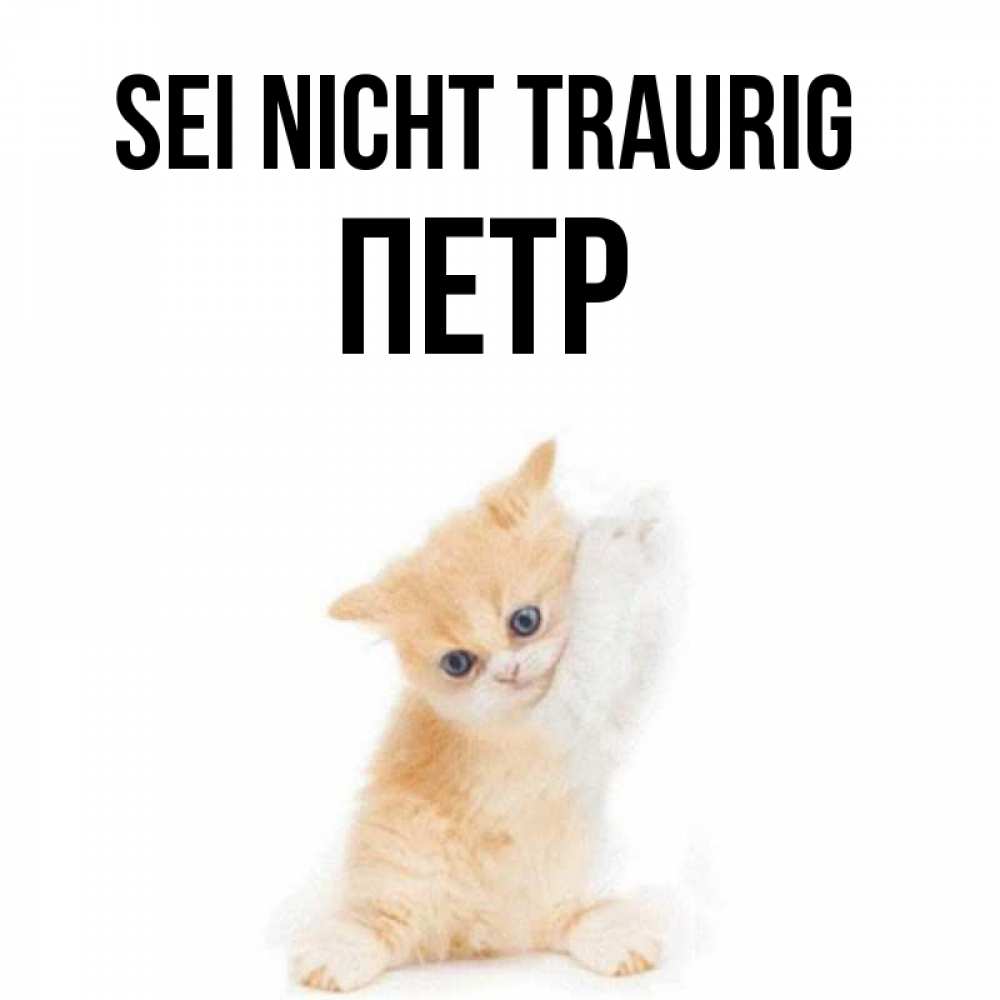 Открытка на каждый день с именем, Петр Sei nicht traurig просящий кот Прикольная открытка с пожеланием онлайн скачать бесплатно 