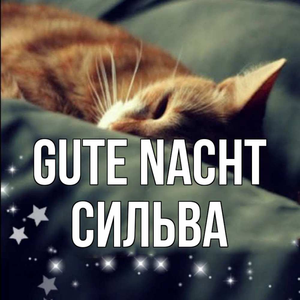 Открытка на каждый день с именем, Сильва Gute Nacht кроватка Прикольная открытка с пожеланием онлайн скачать бесплатно 