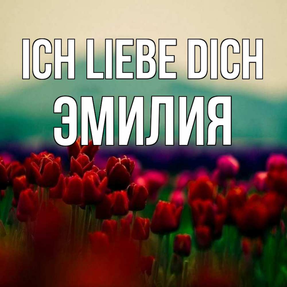 Открытка на каждый день с именем, Эмилия Ich liebe dich тюльпаны 4 Прикольная открытка с пожеланием онлайн скачать бесплатно 
