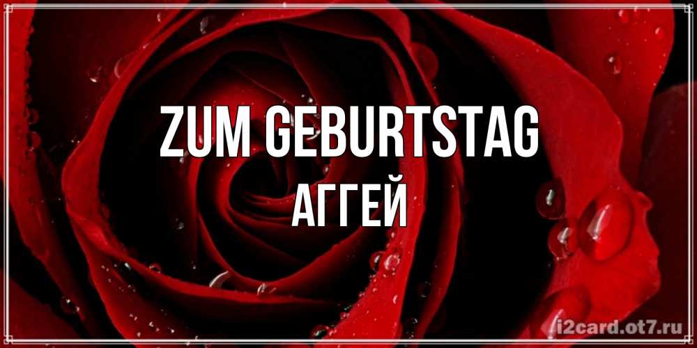 Открытка на каждый день с именем, Аггей Zum Geburtstag крупная бордовая роза Прикольная открытка с пожеланием онлайн скачать бесплатно 